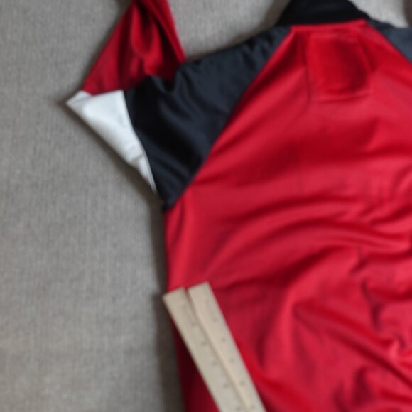 Red Wings Jacket Medium Detroit Tailored Warm Up Embroidered Mitchell & Ness - Picture 8 of 13